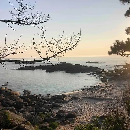 Puerto De Bueu, Centro *